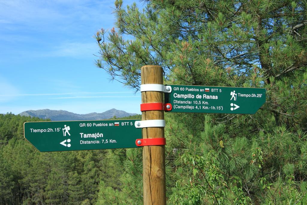 Casa Rural El Abejaruco (Adults Only) Campillo de Ranas Zewnętrze zdjęcie