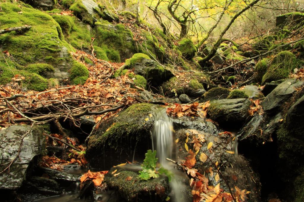 Casa Rural El Abejaruco (Adults Only) Campillo de Ranas Zewnętrze zdjęcie
