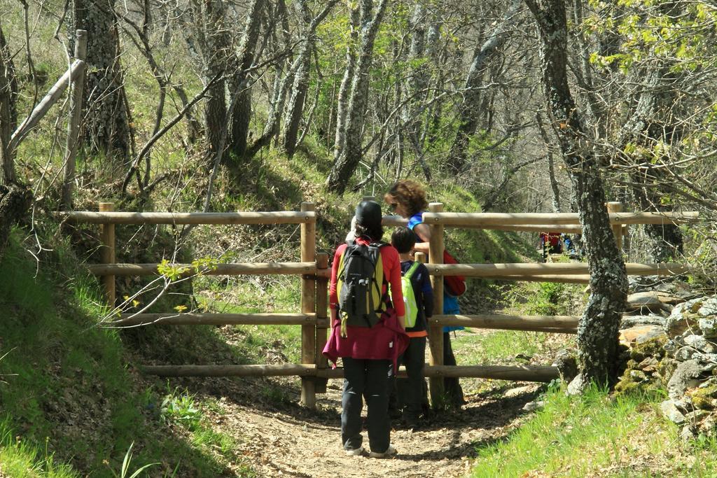 Casa Rural El Abejaruco (Adults Only) Campillo de Ranas Zewnętrze zdjęcie