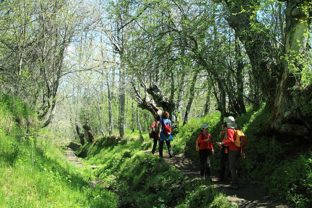 Casa Rural El Abejaruco (Adults Only) Campillo de Ranas Zewnętrze zdjęcie