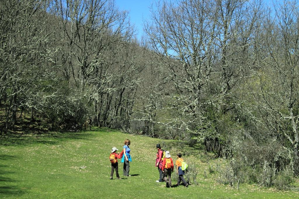 Casa Rural El Abejaruco (Adults Only) Campillo de Ranas Zewnętrze zdjęcie
