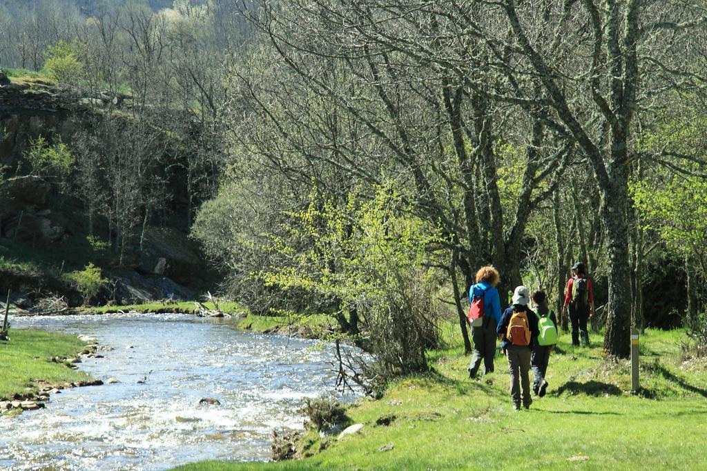 Casa Rural El Abejaruco (Adults Only) Campillo de Ranas Zewnętrze zdjęcie