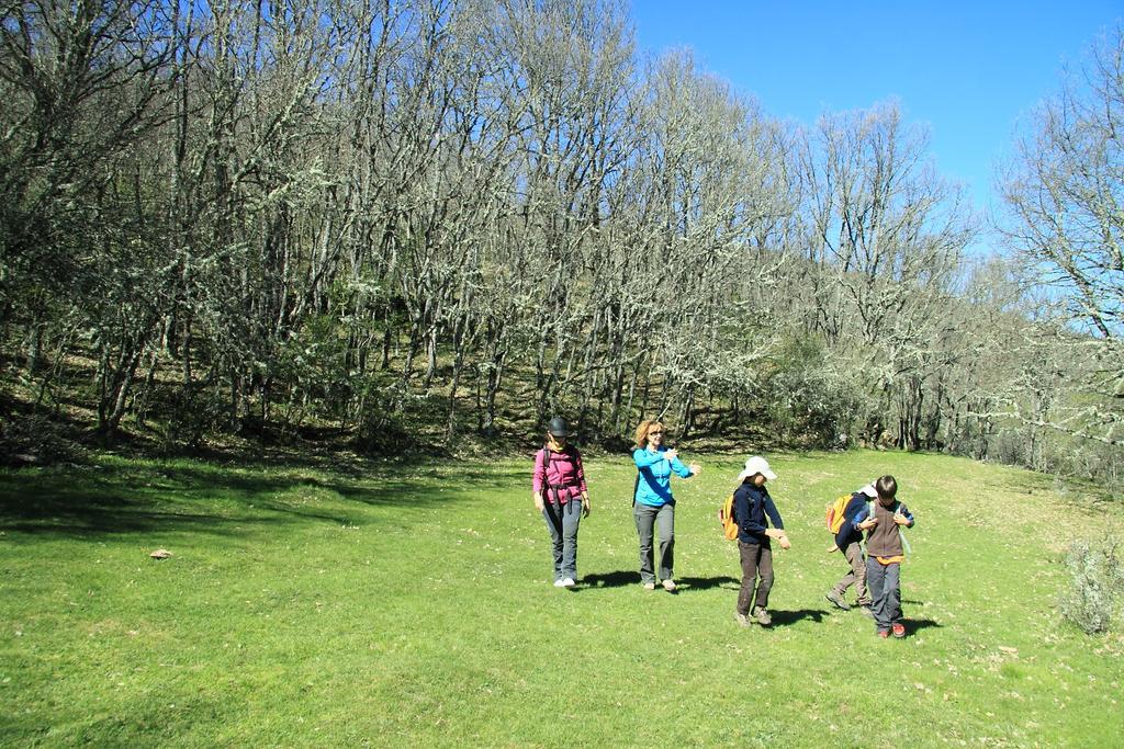 Casa Rural El Abejaruco (Adults Only) Campillo de Ranas Zewnętrze zdjęcie